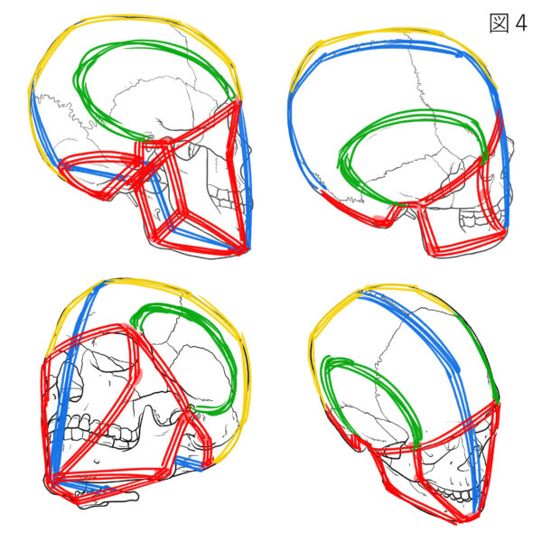 畑健二郎と伊豆の美術解剖学者のキャラ作画解説、頭蓋骨