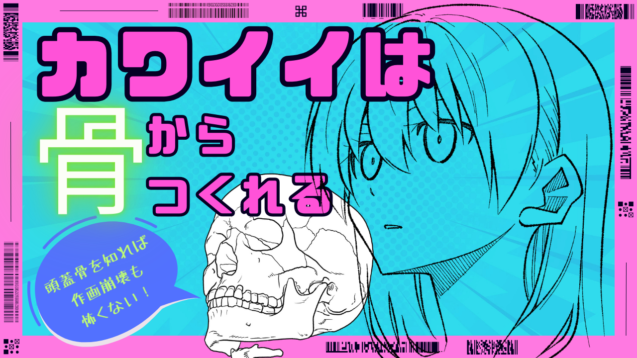 頭蓋骨の素材を使った顔の描き方を美術解剖学者が伝授！初心者向けの