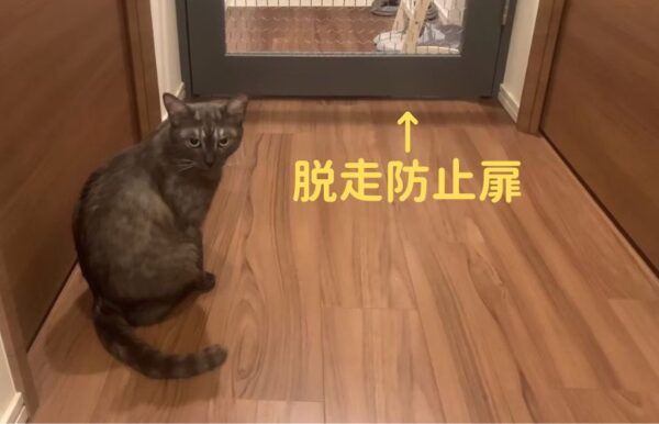 猫、脱走防止扉、おしゃれ